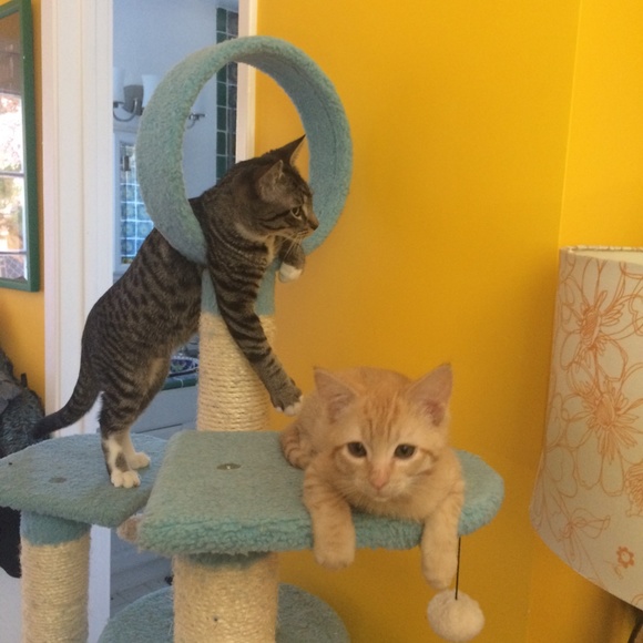 Meet your Posher, Redmontster. - Picture 9 of 15